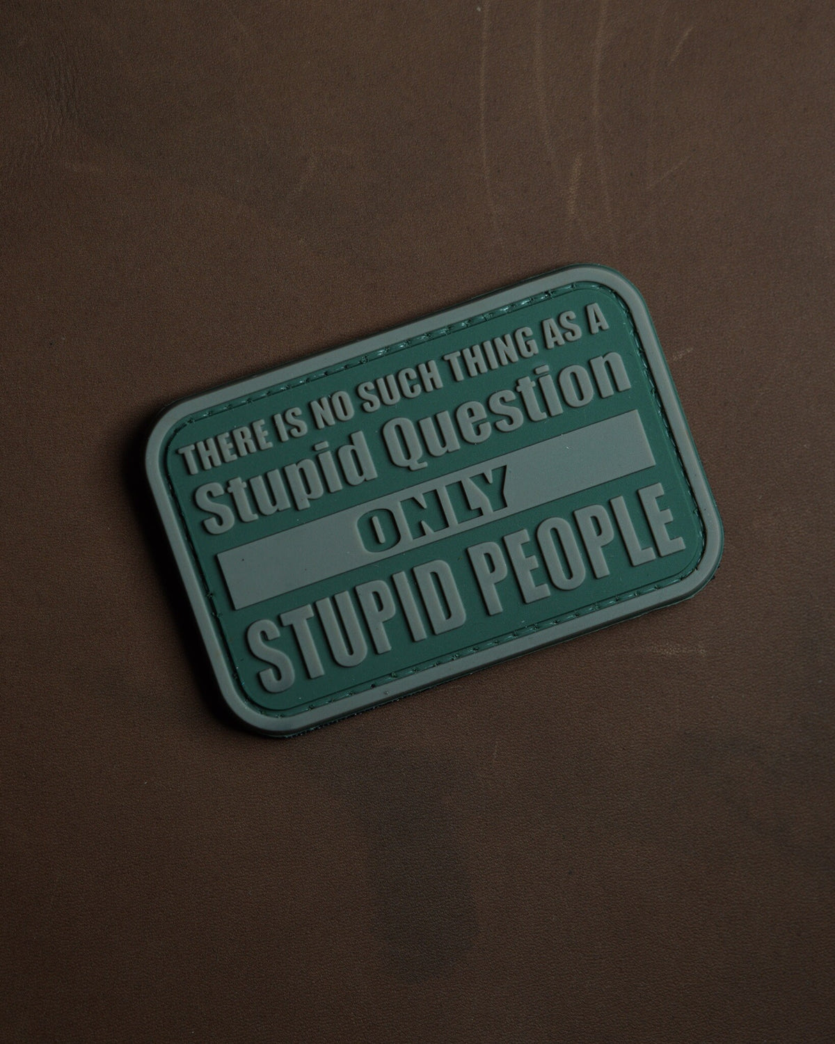 Morale PVC Patch | There Is No Stupid Questions | Tactical EDC Gear Accessory |Hook Backing